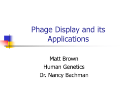 Phage Display and its Applications
