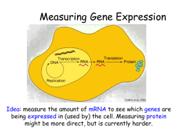 No Slide Title - Mouse Genome Informatics