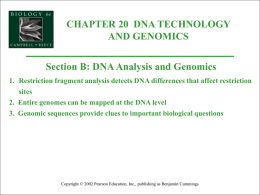 DNA Analysis and Genomics