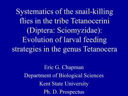 A Molecular Phylogeny of the Snail Killing Flies (Sciomyzidae