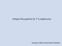 Antigen recognition by T Lymphocytes