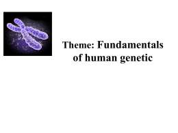 Fundamentals of human genetic