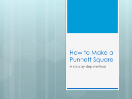 How to make a punnett square ppt