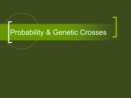 Probability & Genetic Crosses