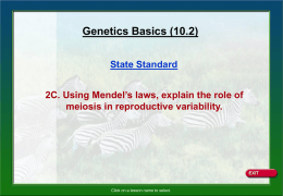 Genetics Basics Notes (10.2)