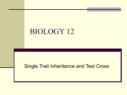 Single Trait Inheritance and Test Cross