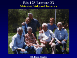 Biol 178 Lecture 23