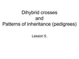 Lesson 5. Dihybrid crosses, pedigrees and - Blyth-Biology11
