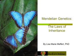 Les 3 Mendelian Genetics