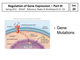 Regulation of Gene Expression – Part III