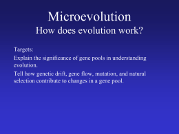 Mechansisms for Evolution 2015
