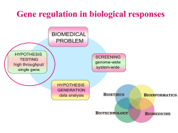 Gene regulation in biological responses
