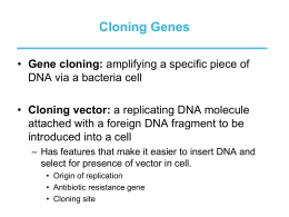 2/11 Cloning and Transformation