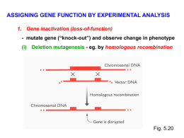 of gene expression - Université d`Ottawa
