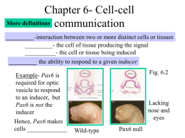 Chapter 4- Genes and development