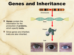 Genes - Dallas ISD