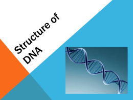 DNA - ScanlinMagnet