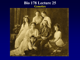 Biol 178 Lecture 25