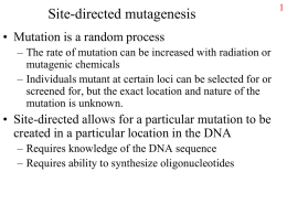 Examples of mutations and their phenotypes