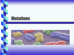 Cell Mutations