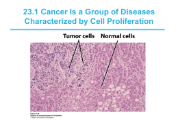 11/27 Cancer Genetics
