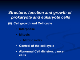 Control of Cell Cycle