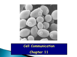 Cell-signaling