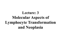 Lec3-Molecular-Aspects-of-Lymphocyte-Transformation