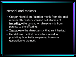 Mendel and meiosis