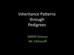 Inheritance Patterns through Pedigrees
