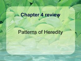 Cells Chapter 4 Review Powerpoint