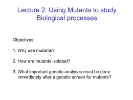 Mutants - UBC Blogs