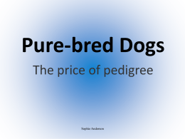 Pure-bred Dogs - Moodle @ UCOL