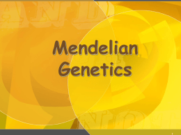 Mendel`s genetics