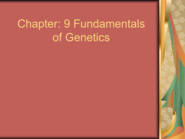 Chapter: 9 Fundamentals of Genetics