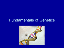 FundamentalsofGeneticsNotes