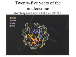 Twenty-five years of the nucleosome Kornberg and Lorch 1998, Cell