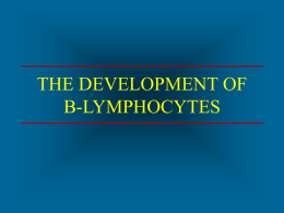 Development of B Lymphocytes