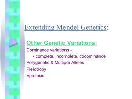 Extending Mendel Genetics