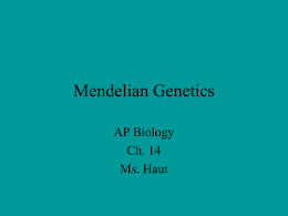 ch. 14 Mendelian Genetics notes