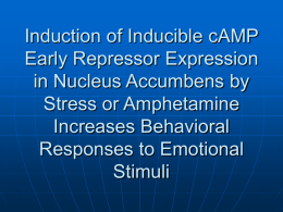 Induction of Inducible cAMP Early Repressor Expression in Nucleus