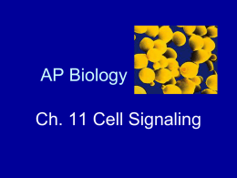 AP Biology - AdamsAPBiostars