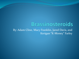 Brassinosteroids - Catawba County Schools