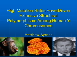 High Mutation Rates Have Driven Extensive Structural