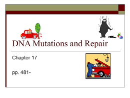 ch. 17 DNA mutations and repair