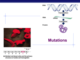 Mutations - Biology Junction