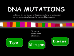 DNA mutations power point