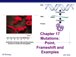 Chapter 17 Mutations/Deletions Examples