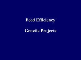 Feed efficiency