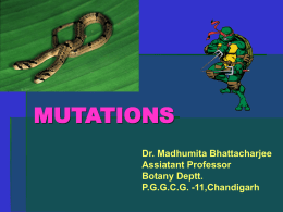 MUTATIONS